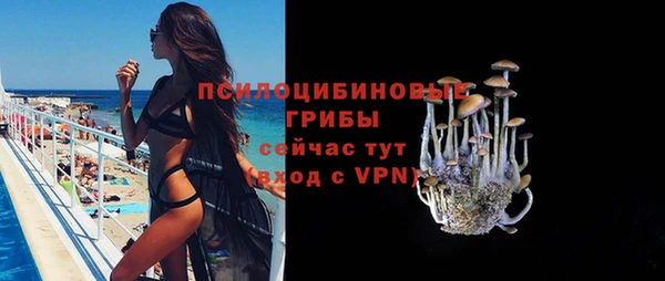 MDMA Белокуриха