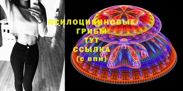 дмт Беломорск
