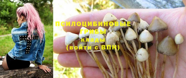 2c-b Богородицк