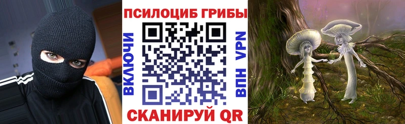 Псилоцибиновые грибы ЛСД Кашира